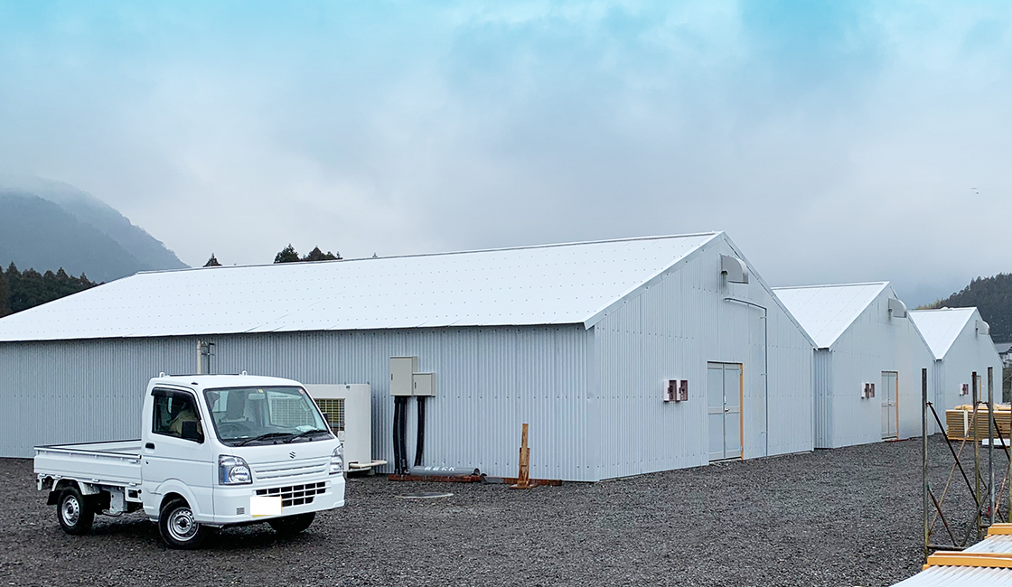 菌床椎茸栽培工場新築工事　外観